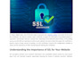 write an seo article for website also rewrite content spin